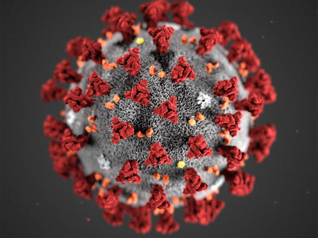 2871–cdc-alissa-eckert-ms_modifisert